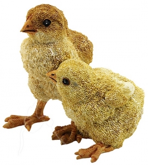 Chick Friends