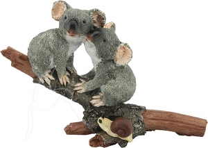 Koalas In Love