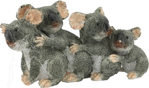 Koala Family