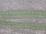 Flower Edge Eyelet Lace Per Meter 30mm Green