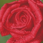 Diamond Dotz Diamond Art - Rose Dew